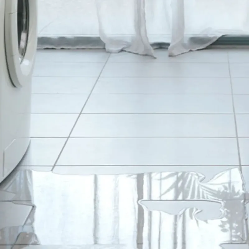 Appliance Leak Cleanup in Speedway, IN